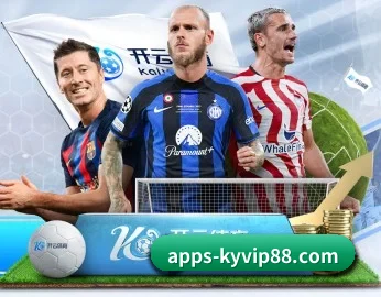 开云体育app登录入口 APP 深度功能