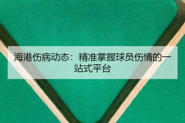 hai-gang-shang-bing-dong-tai-jing-zhun-zhang-wo-qiu-yuan-shang-qing-de-yi-zhan-shi-ping-tai-2-932.jpg